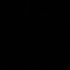 Meet your Posher, Toni